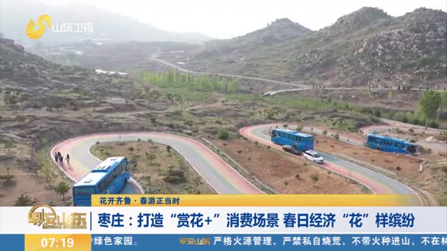 【花开齐鲁·春游正当时】枣庄：打造“赏花+”消费场景 春日经济“花”样缤纷