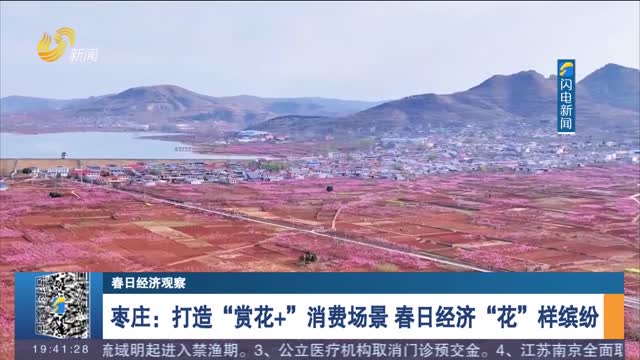 【春日经济观察】枣庄：打造“赏花+”消费场景 春日经济“花”样缤纷