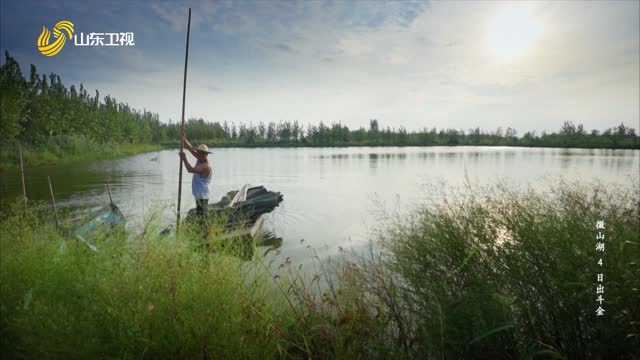 20250331《此时此刻》：微山湖4——日出斗金