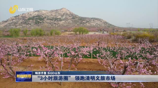 “3小时旅游圈” 领跑清明文旅市场 【畅游齐鲁 乐GO山东】