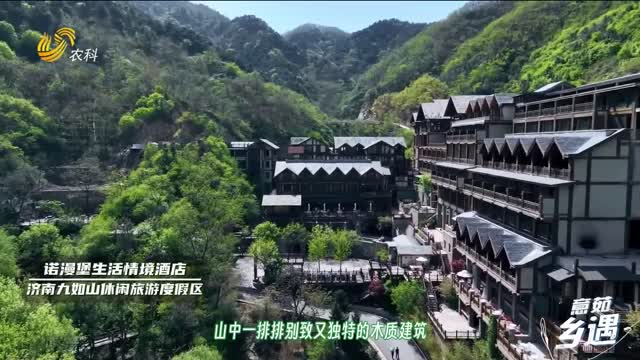 【意茹·鄉(xiāng)遇】住進春天里｜藏在大山里的民宿酒店集群