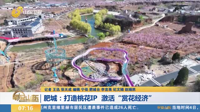 【畅游齐鲁 乐GO山东】肥城：打造桃花IP 激活“赏花经济”