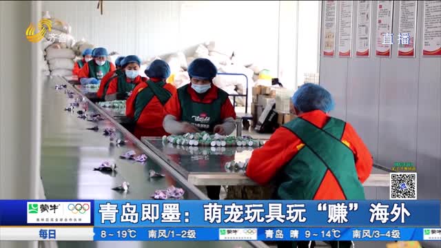 青岛即墨：萌宠玩具玩“赚”海外