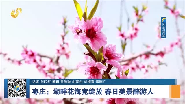 枣庄：湖畔花海竞绽放 春日美景醉游人
