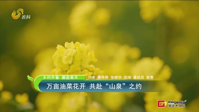 【鄉(xiāng)約齊魯 邂逅春天】萬畝油菜花開 共赴“山泉”之約