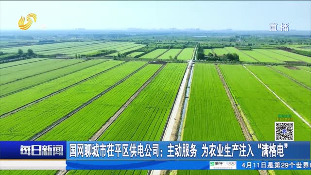 国网聊城市茌平区供电公司：主动服务 为农业生产注入“满格电”