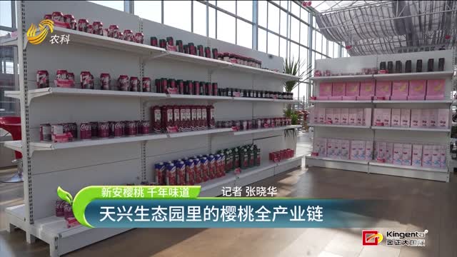 天興生態(tài)園里的櫻桃全產(chǎn)業(yè)鏈