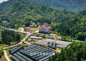 跟总书记学方法｜总书记亲自推动的这次改革，具体的办法交给群众商量