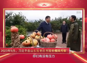 跟总书记学方法｜总书记的“瓜果情”——总书记调研后，山东这万亩石榴园越来越好