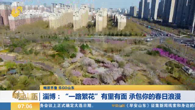 【畅游齐鲁 乐GO山东】淄博：“一路繁花”有里有面 承包你的春日浪漫