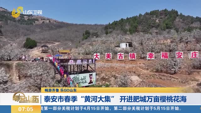 【畅游齐鲁 乐GO山东】泰安市春季“黄河大集” 开进肥城万亩樱桃花海