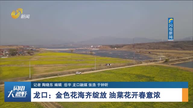 【诗画山东】龙口：金色花海齐绽放 油菜花开春意浓