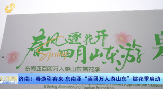 济南：春游引客来 东南亚“百团万人游山东”赏花季启动
