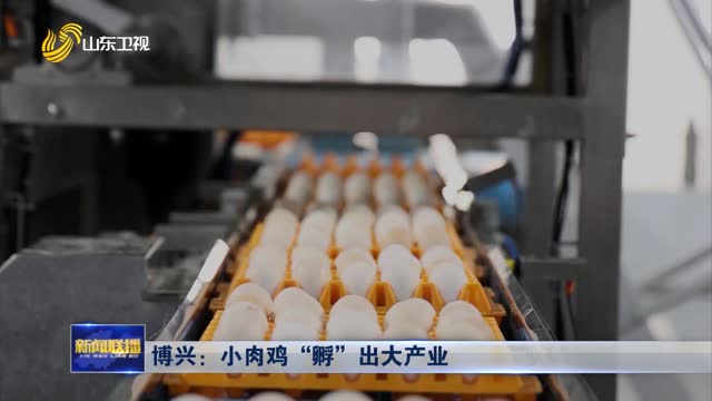 博兴：小肉鸡“孵”出大产业