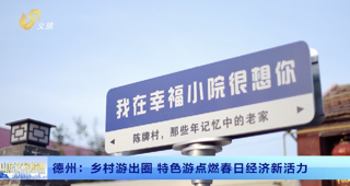 德州：乡村游出圈 特色游点燃春日经济新活力