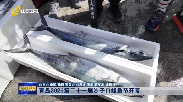 青岛2025第二十一届沙子口鲅鱼节开幕