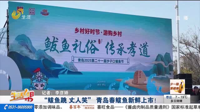 “鲅鱼跳 丈人笑” 青岛春鲅鱼新鲜上市！