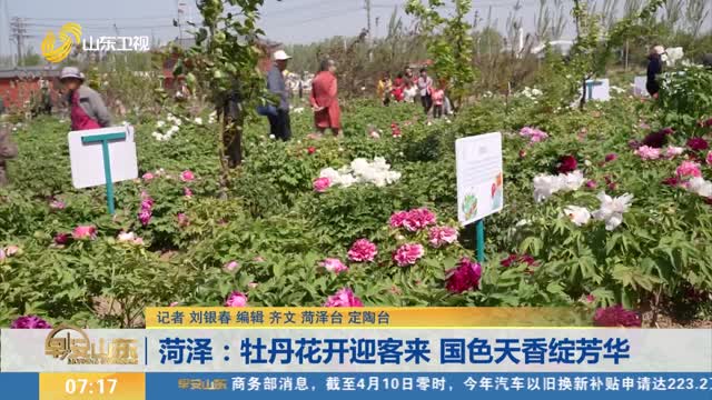 菏泽：牡丹花开迎客来 国色天香绽芳华