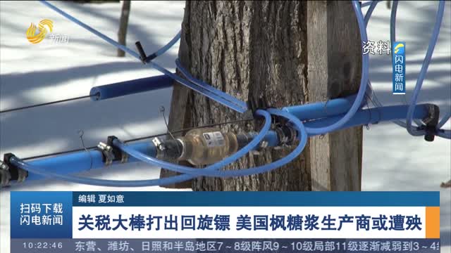 关税大棒打出回旋镖 美国枫糖浆生产商或遭殃