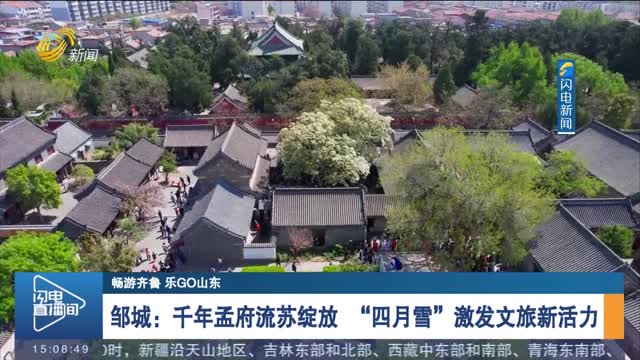 【畅游齐鲁 乐GO山东】邹城：千年孟府流苏绽放 “四月雪”激发文旅新活力