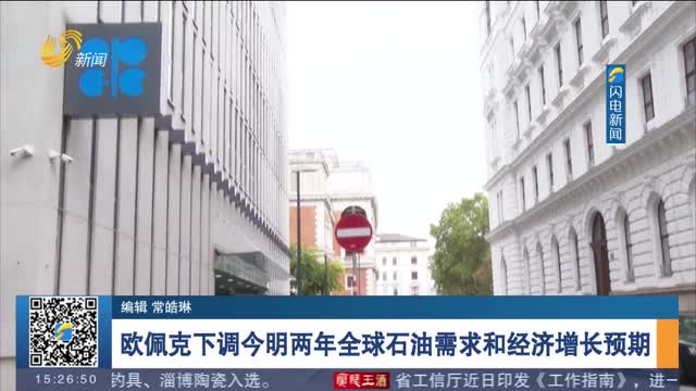 欧佩克下调今明两年全球石油需求和经济增长预期