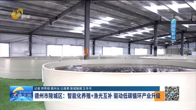 德州市陵城区：智能化养殖+渔光互补 驱动低碳循环产业升级