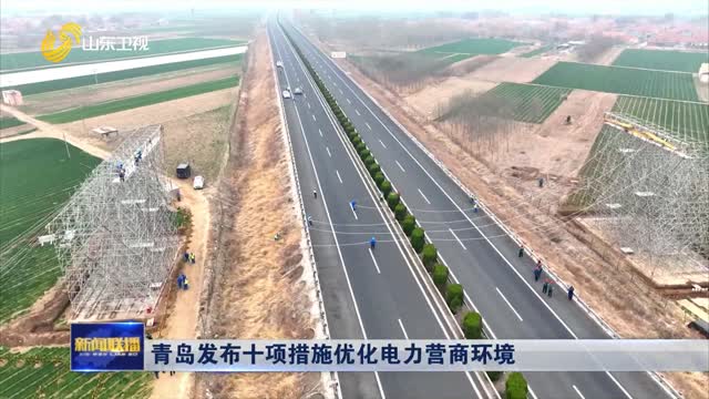 青岛发布十项措施优化电力营商环境