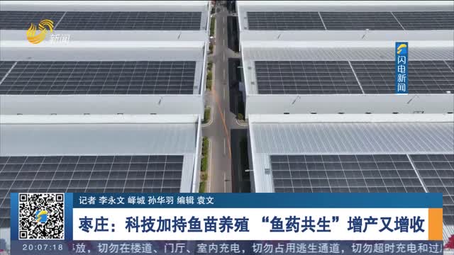 枣庄：科技加持鱼苗养殖 “鱼药共生”增产又增收