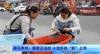 潍坊青州：尝鲜正当时 小龙虾抢“鲜”上市
