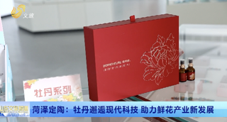 菏泽定陶：牡丹邂逅现代科技 助力鲜花产业新发展