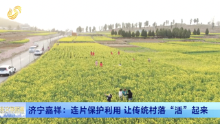 乡村振兴齐鲁样板丨济宁嘉祥：连片保护利用 让传统村落“活”起来