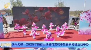 滨州无棣：“乡村好时节·游购乡村” 2025年碣石山镇桃花赏花季暨春季村晚活动举办