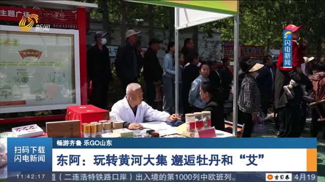 【畅游齐鲁 乐GO山东】东阿：玩转黄河大集 邂逅牡丹和“艾”