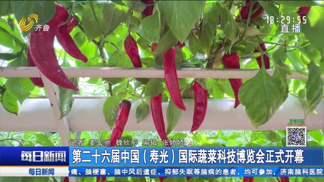 第二十六届中国（寿光）国际蔬菜科技博览会正式开幕