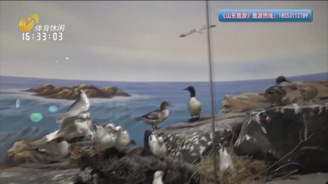 2025年04月21日《山东旅游》完整版
