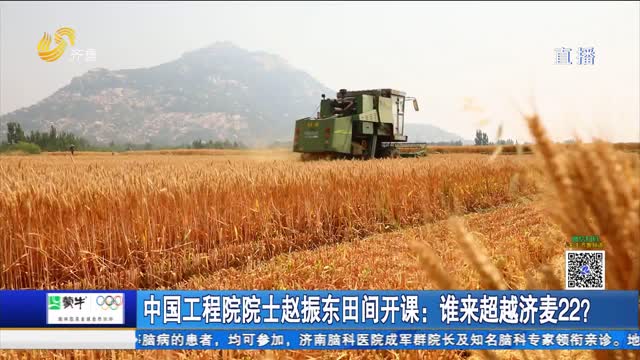 中国工程院院士赵振东田间开课：谁来超越济麦22？