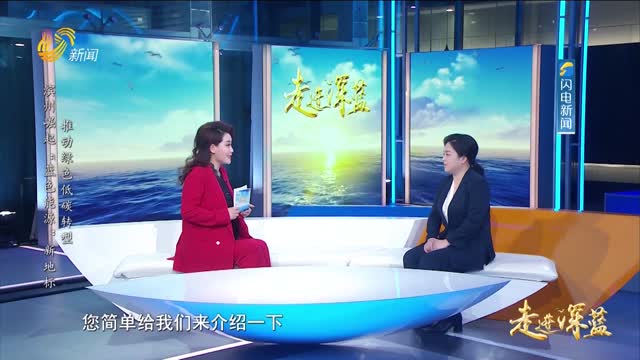 20250426《走进深蓝》：推动绿色低碳转型 滨州崛起“蓝色能源”新地标