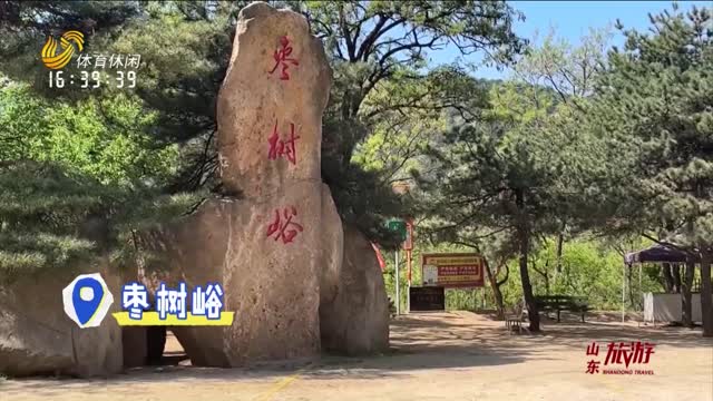 2025年04月28日《山东旅游》完整版