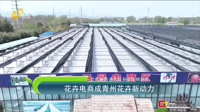 花卉電商成青州花卉新動(dòng)力