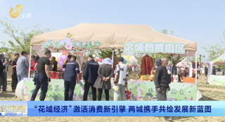“花域经济”激活消费新引擎 两城携手共绘发展新蓝图