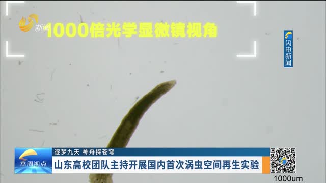 【逐梦九天 神舟探苍穹】山东高校团队主持开展国内首次涡虫空间再生实验