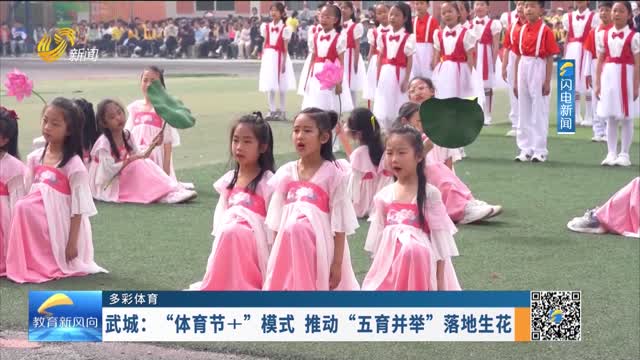 【多彩体育】武城：“体育节+”模式 推动“五育并举”落地生花