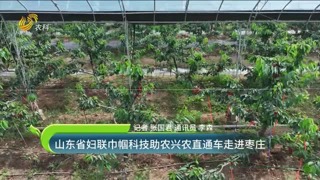 山東省婦聯(lián)巾幗科技助農(nóng)興農(nóng)直通車走進(jìn)棗莊