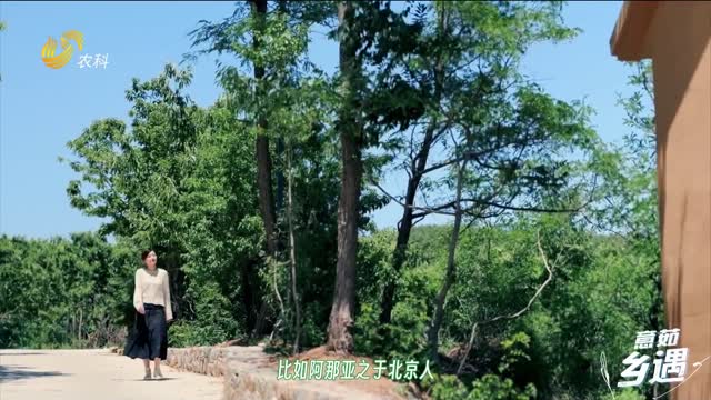 【意茹·鄉(xiāng)遇】看山見水的夢(mèng)想小院
