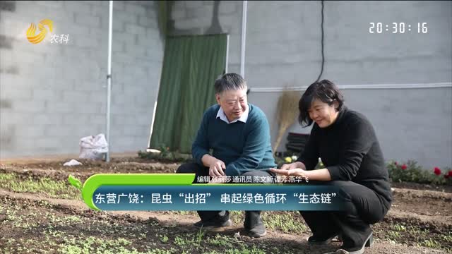 東營廣饒：昆蟲“出招” 串起綠色循環(huán)“生態(tài)鏈”