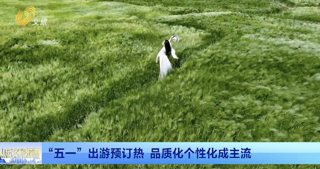 “五一”出游预订热 品质化个性化成主流