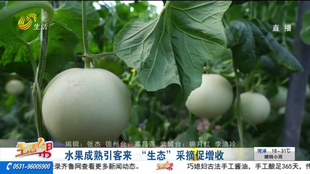 水果成熟引客來 “生態”采摘促增收