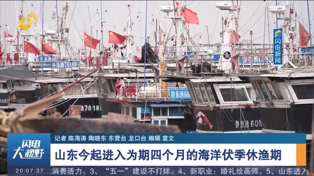 山東今起進入為期四個月的海洋伏季休漁期