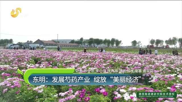 東明：發(fā)展芍藥產(chǎn)業(yè) 綻放“美麗經(jīng)濟(jì)”