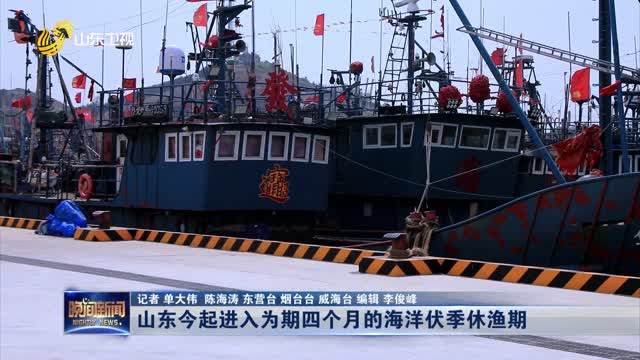 山东今起进入为期四个月的海洋伏季休渔期